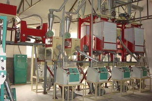 【面粉機組、面粉機成套設備專業(yè)的生產(chǎn)廠家】