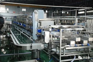 中歐豆制品行業(yè)技術(shù)交流會(huì)議召開 探索合作共贏新路徑